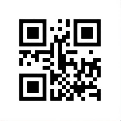 iris qr code